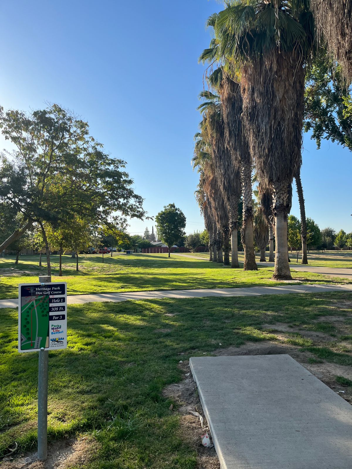 A line of palms lead to hole #1