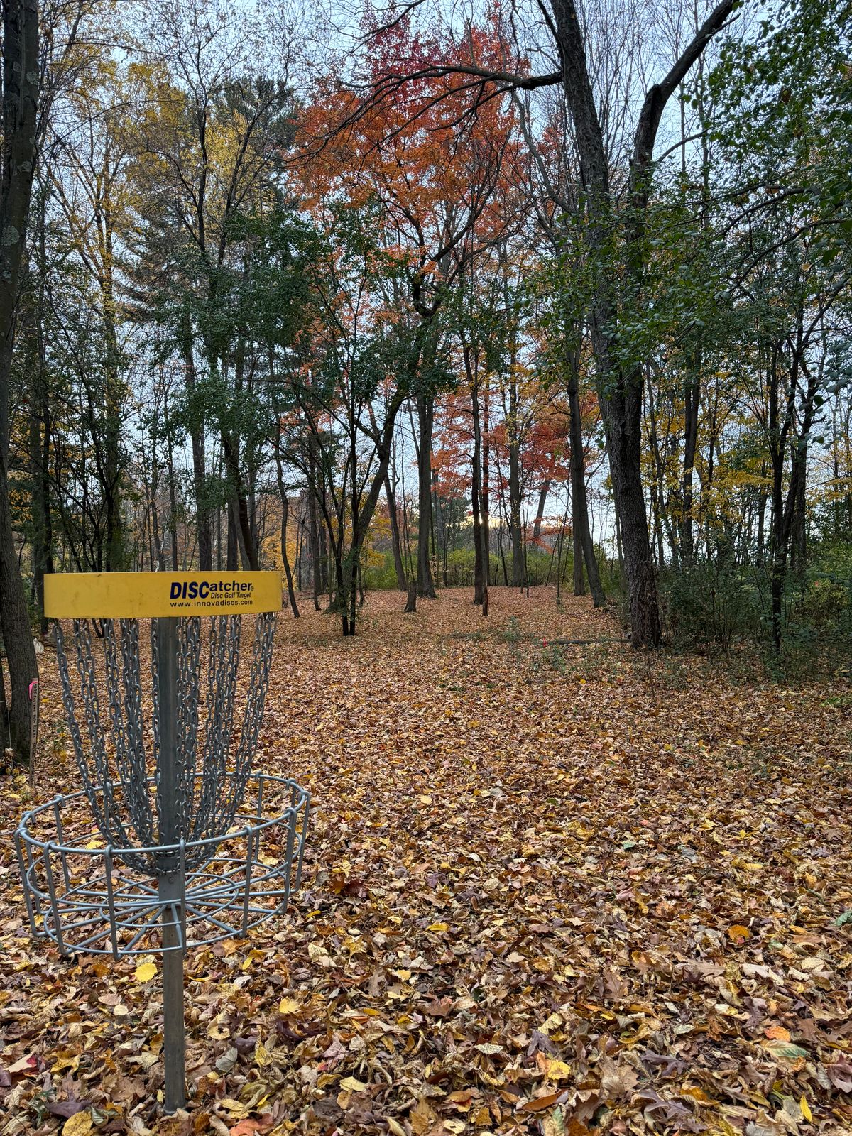 Hole 8 looking towards the tee box
