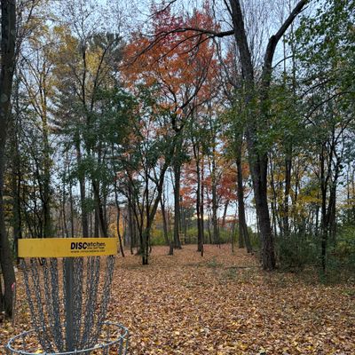 Hole 8 looking towards the tee box