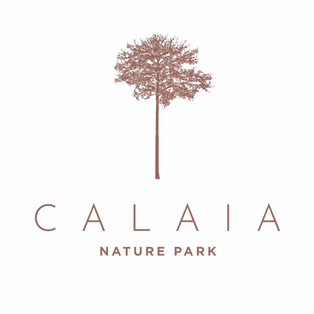 Welcome to Calaia! A nature reserve, organic farm and campsite, located in Calaca, Batangas.
