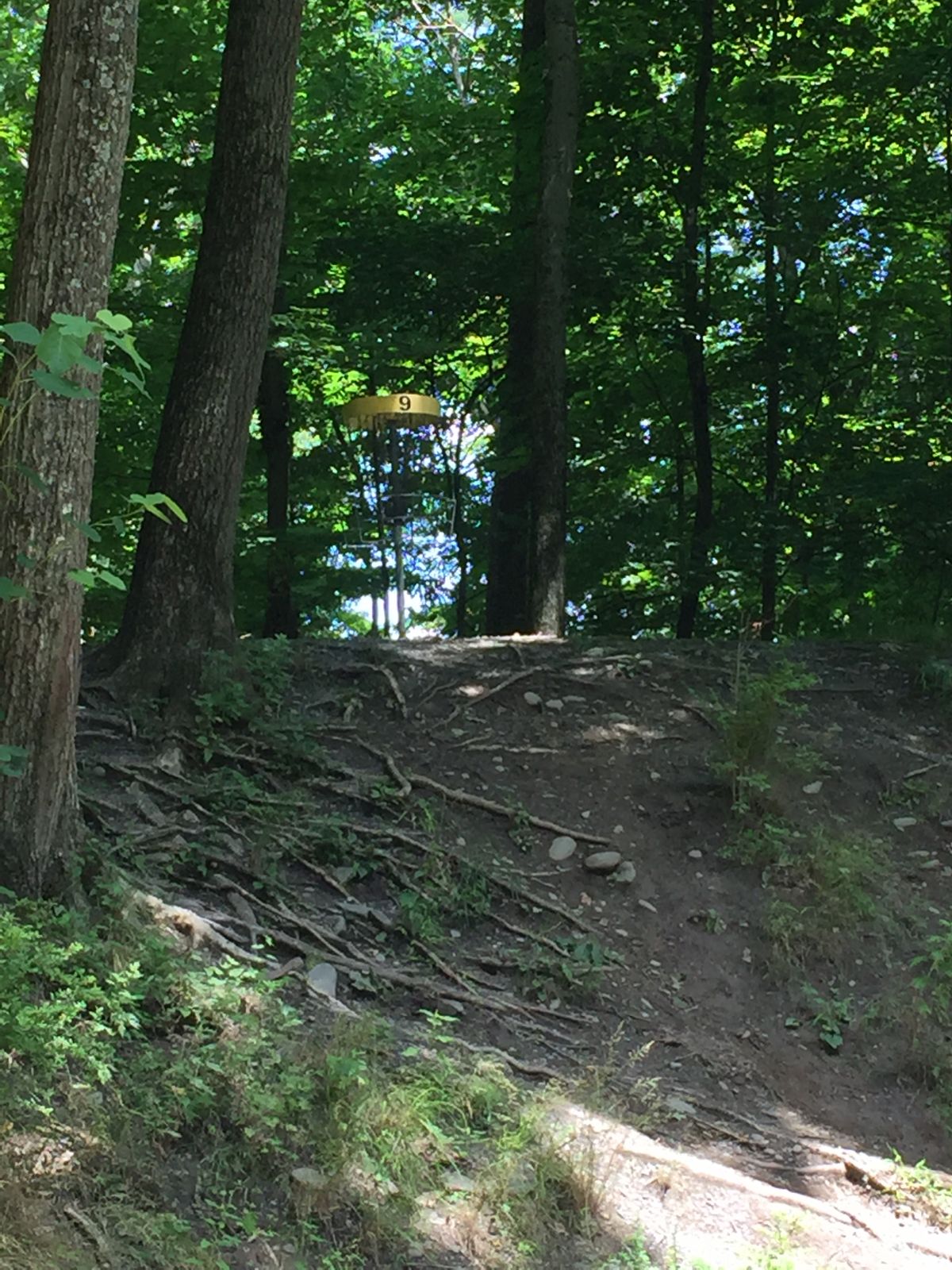 Hole #9