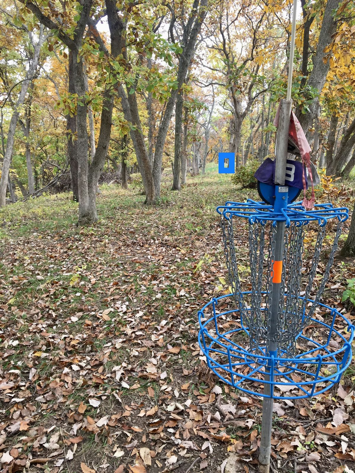 Hole 4 Basket to Tee (Short)