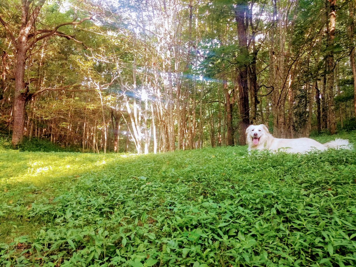Hole 9