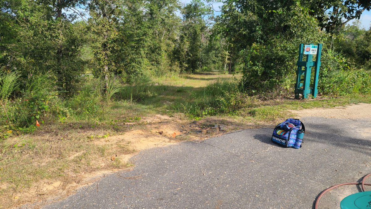 Hole 4 teepad