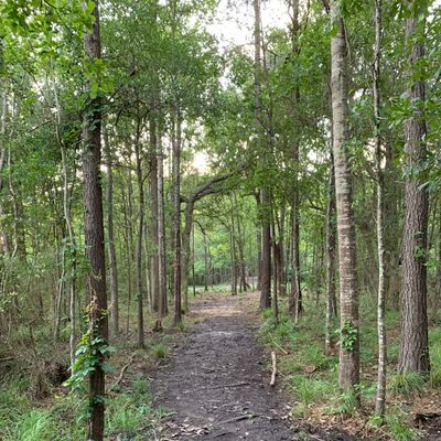 New hole 12, with elevates basket on the other side of a creek