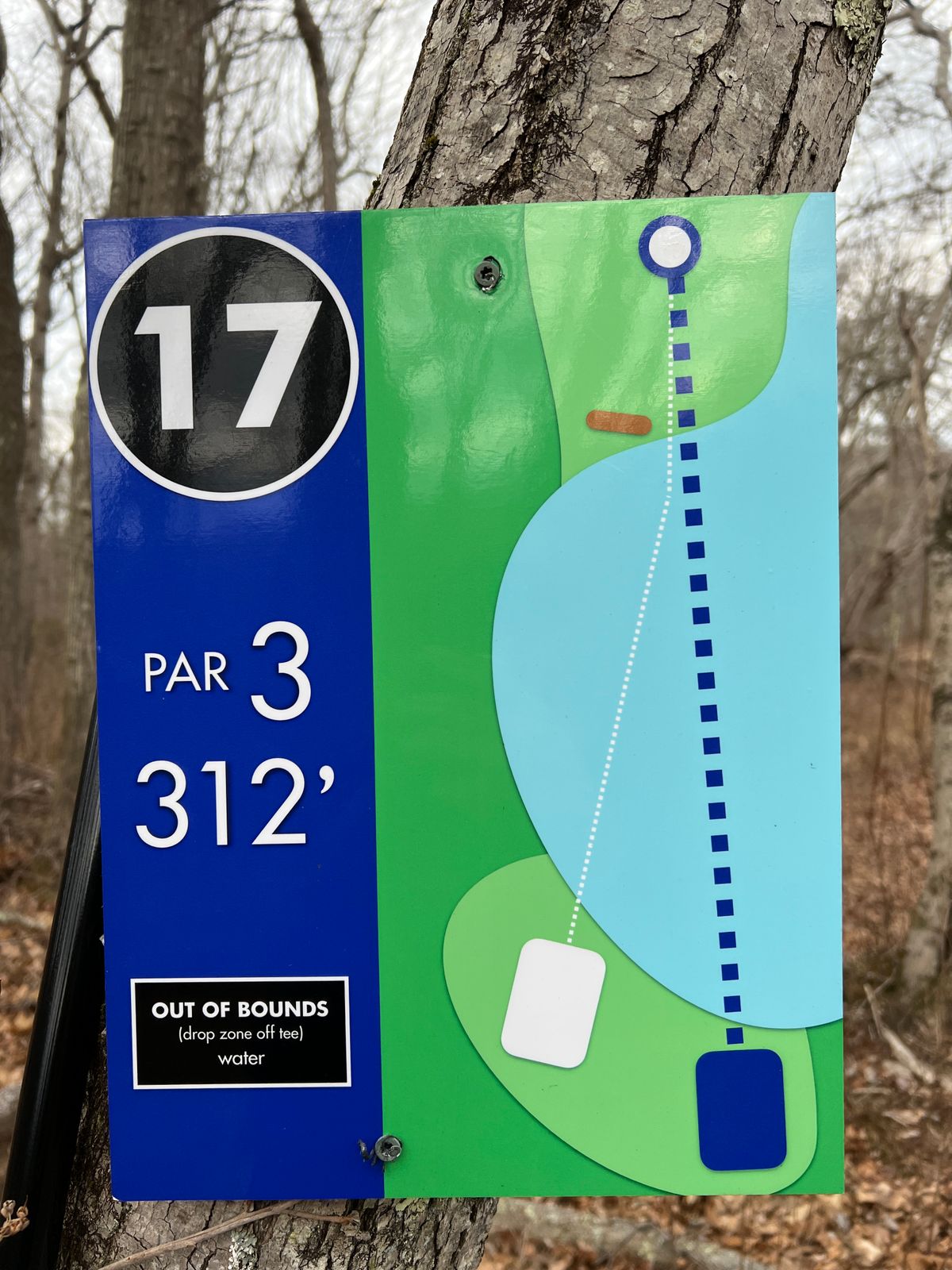 Hole #17