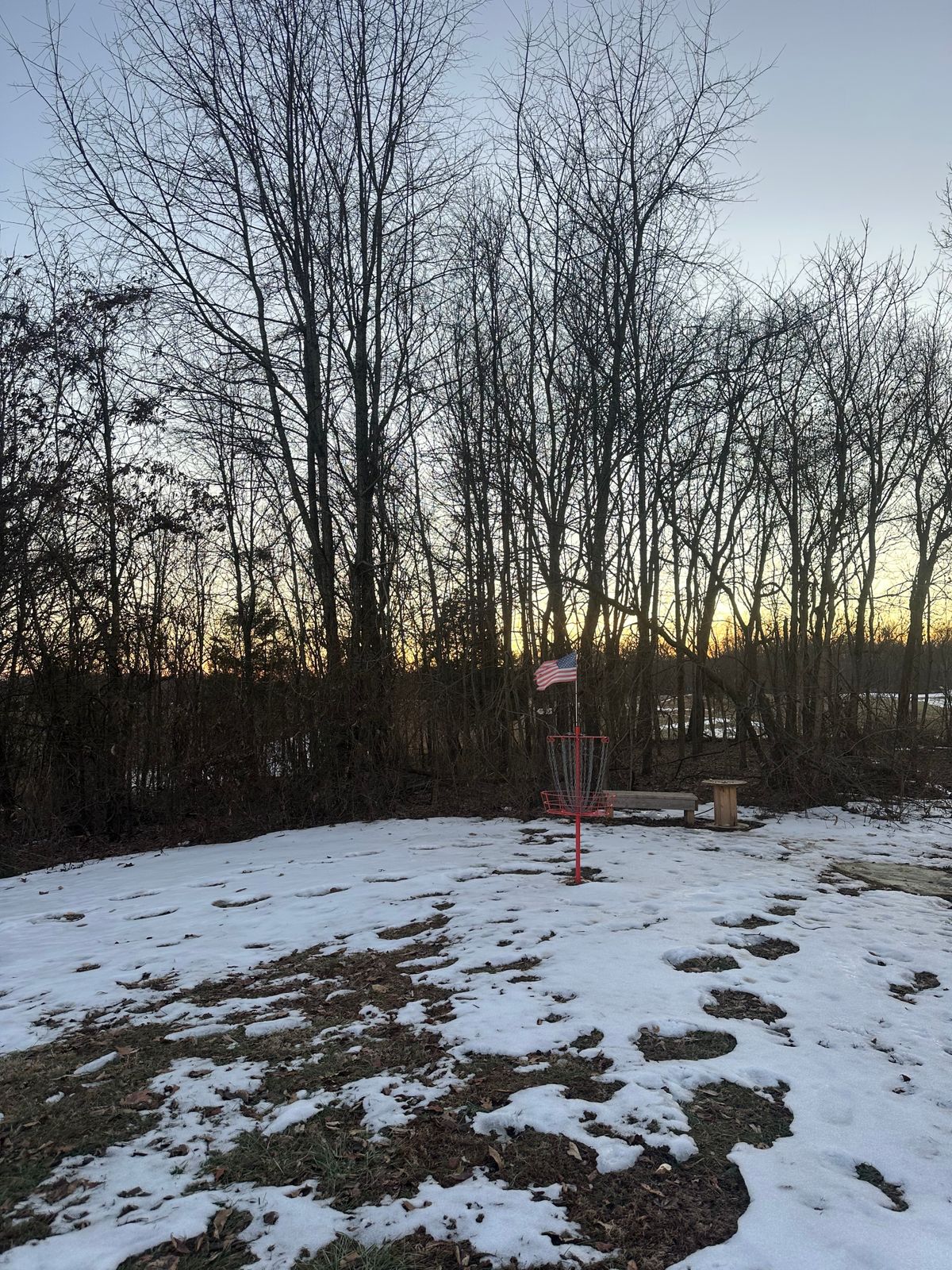Hole 15 basket