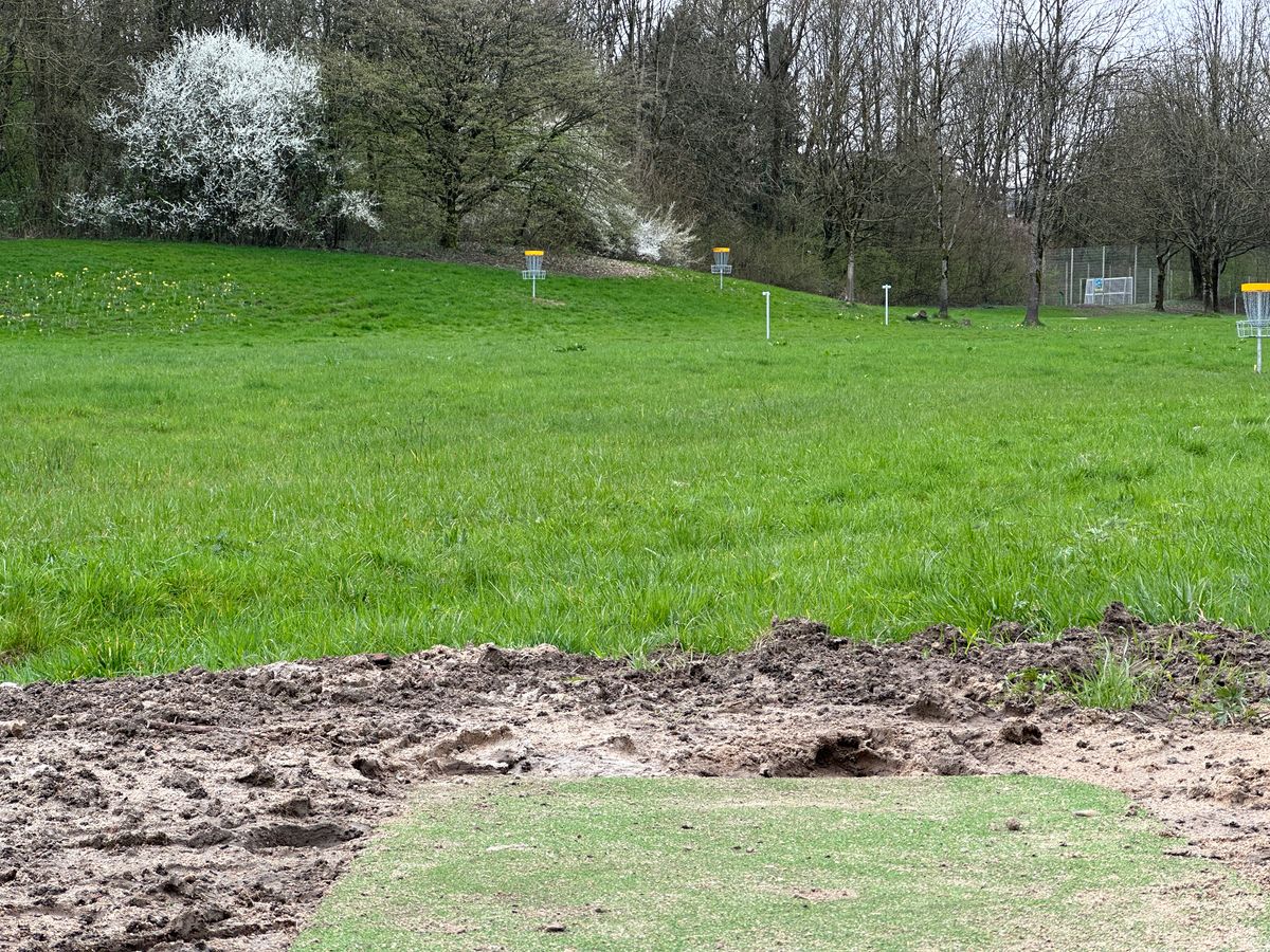 Tee 7