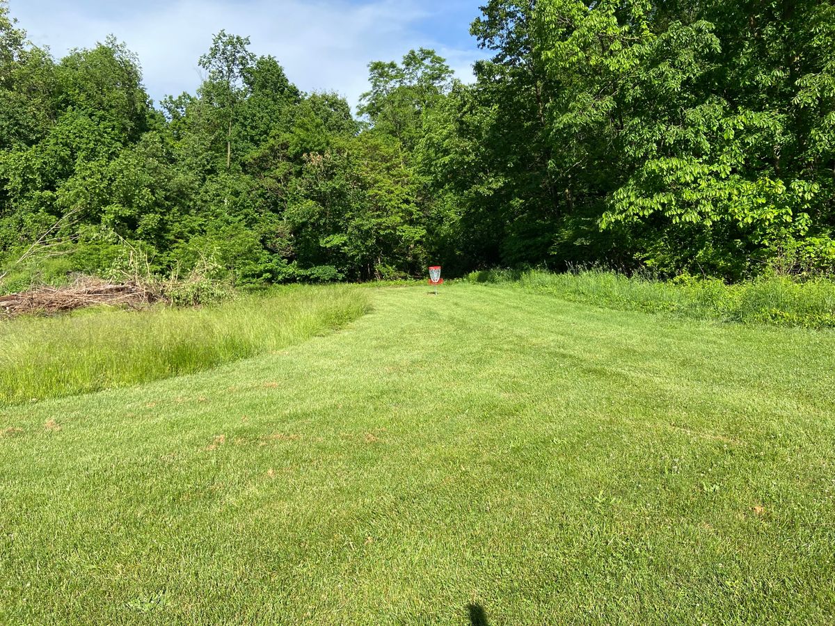 Hole 6 basket