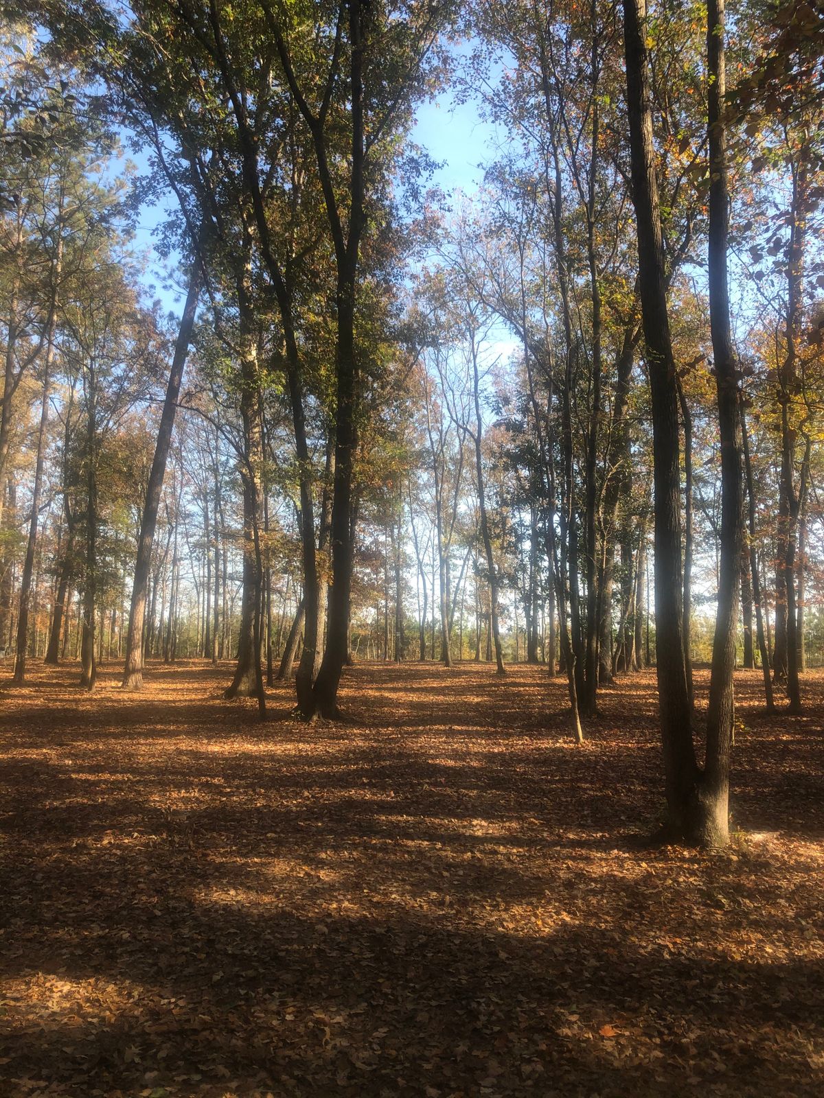 Hole 3