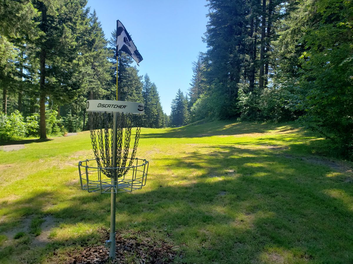 Hole 10 basket looking back at fairway/tee