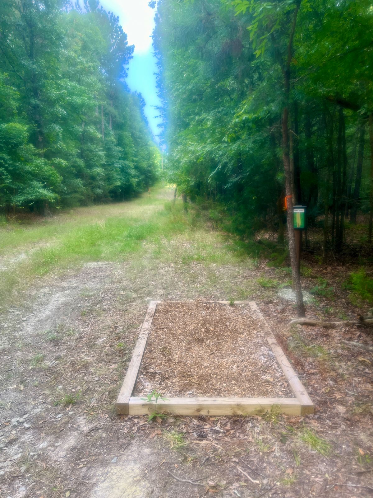 Hole 2 tee