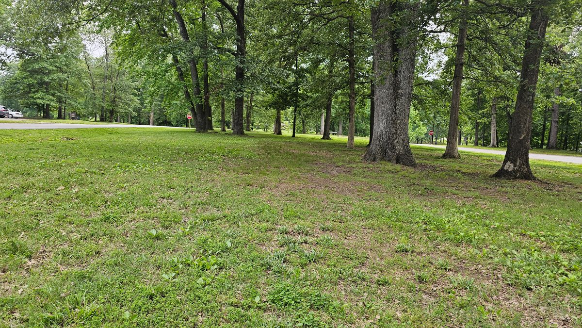 Hole 4 tee pad