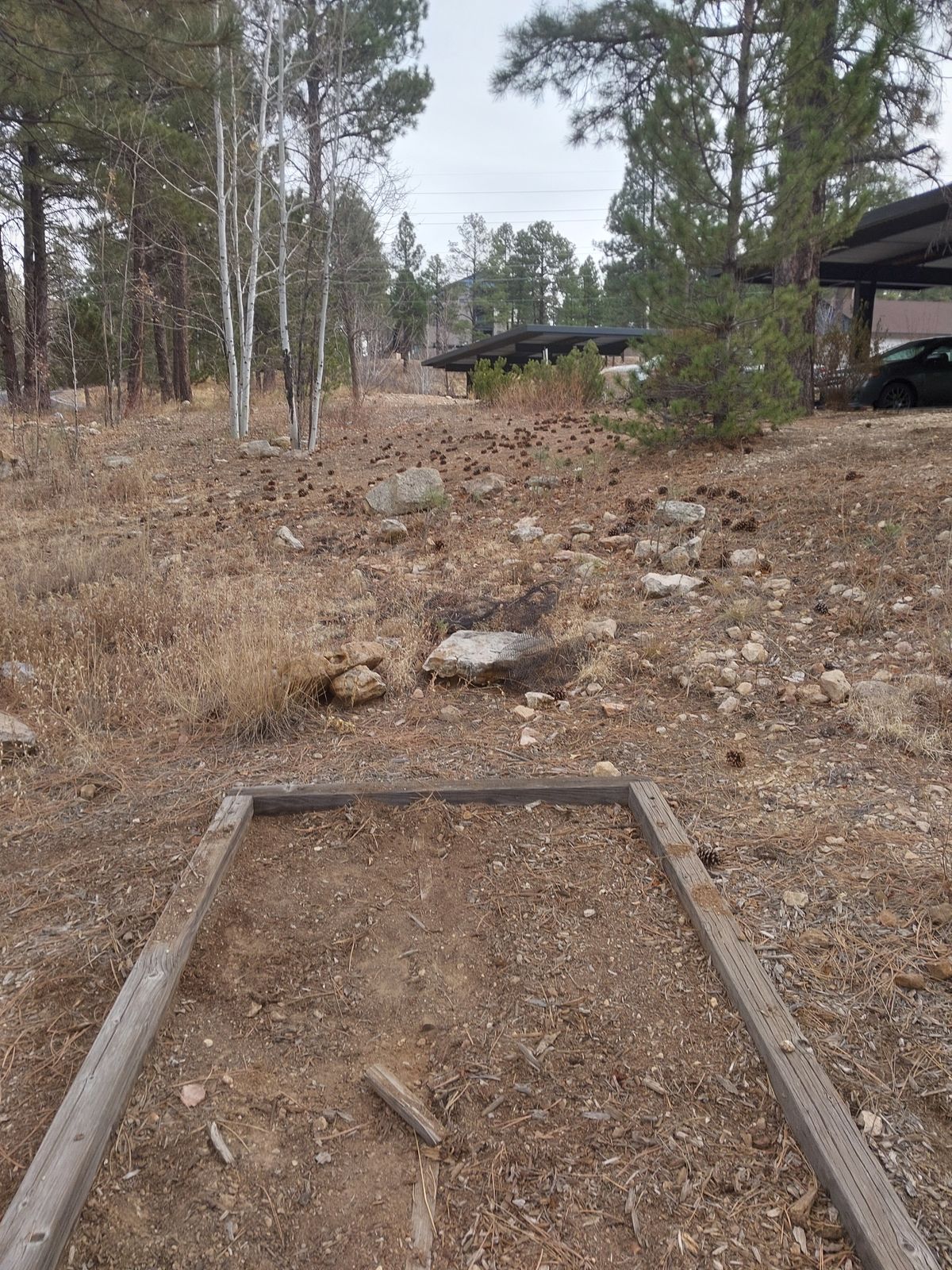 Tee box 3, throwing towards parking area