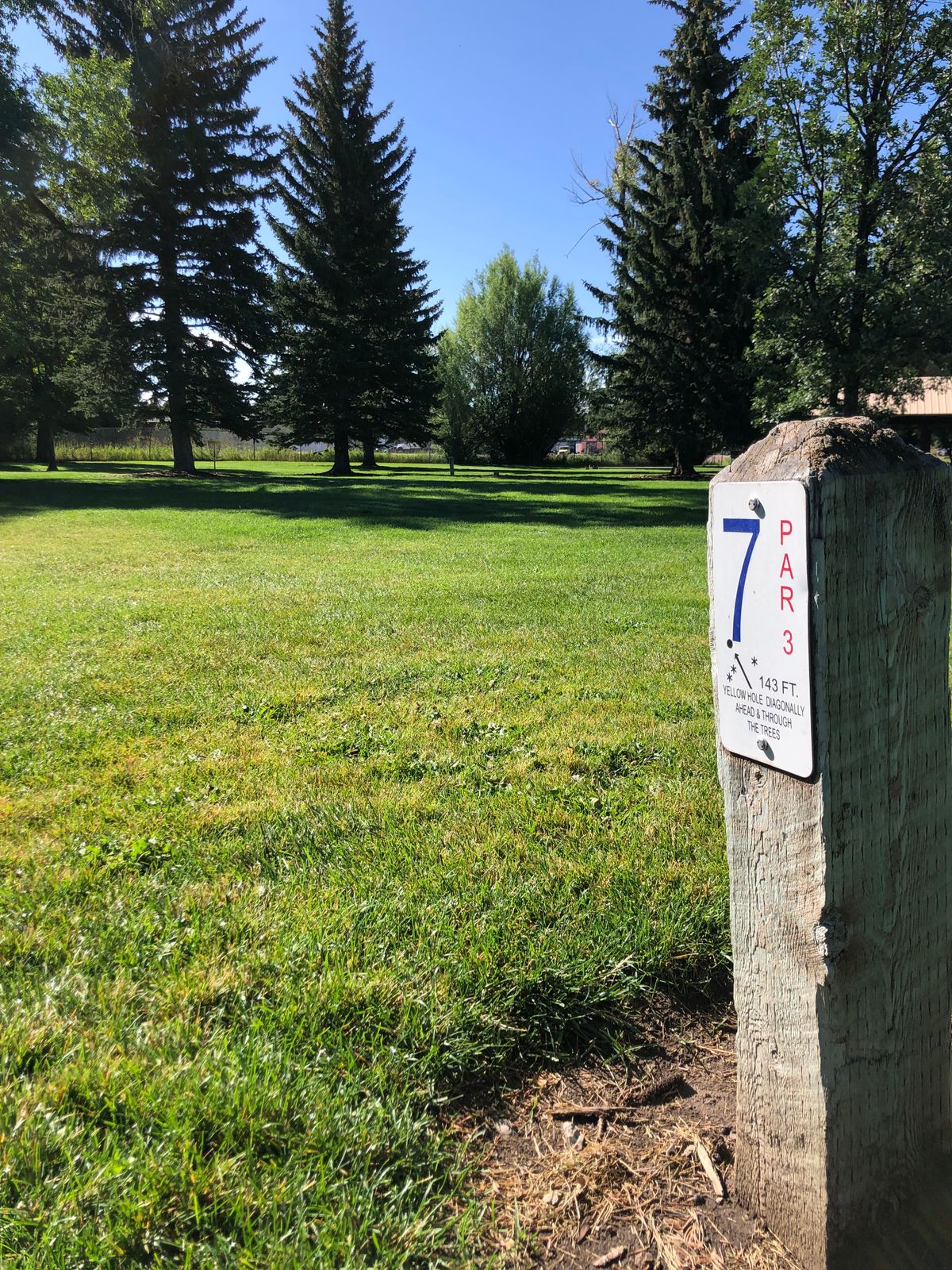 Hole 7 tee pad