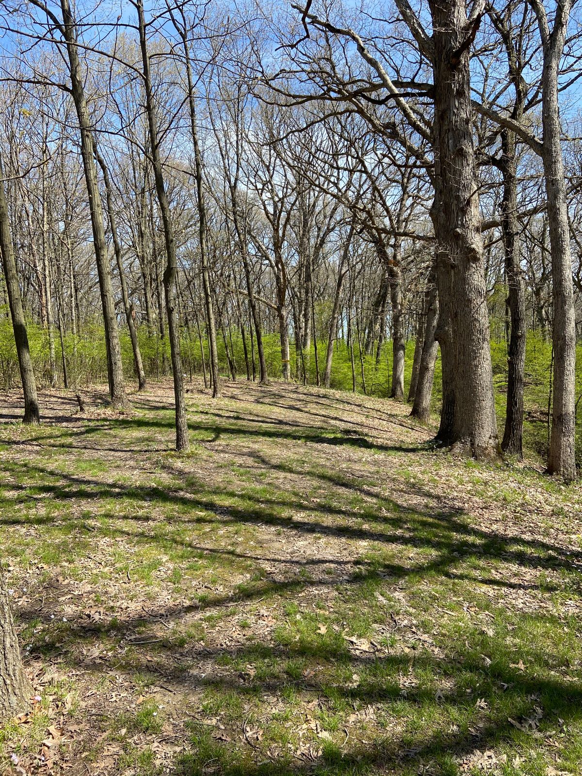 Fairway looking to the pin on hole 15.
