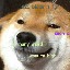 User avatar image