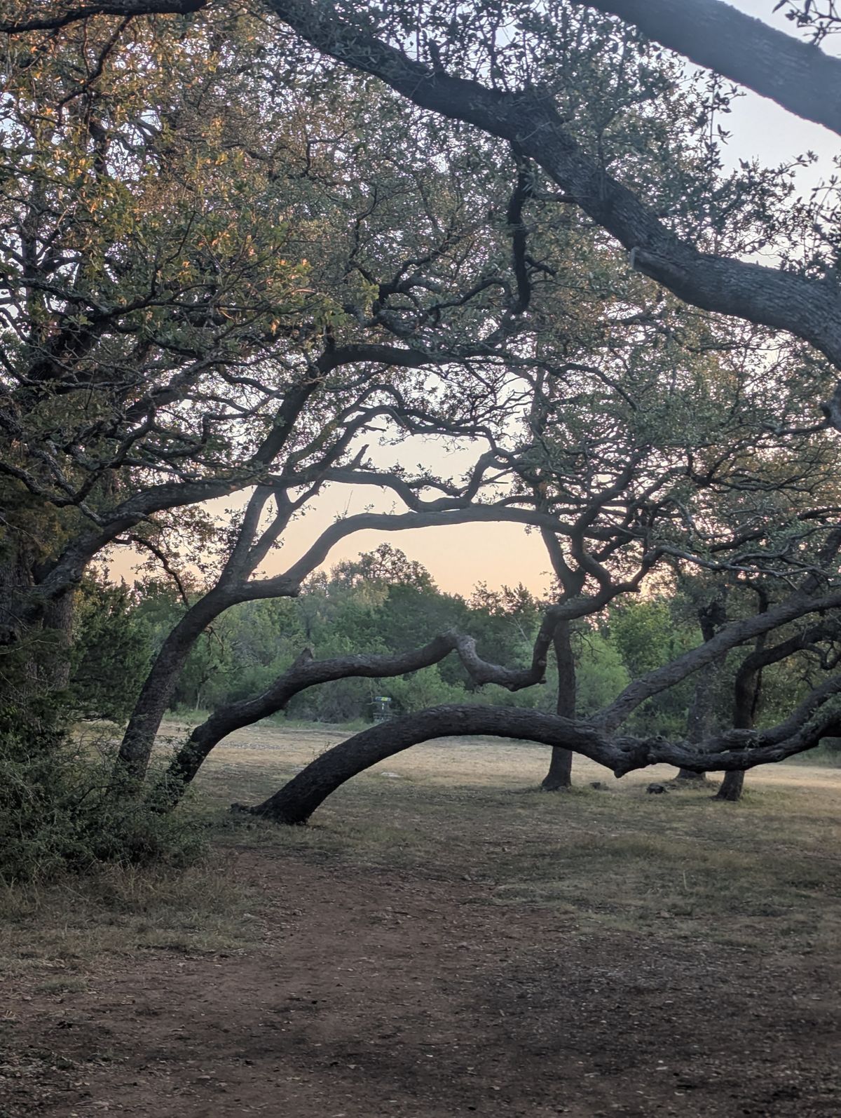 Hole 1 from tee
