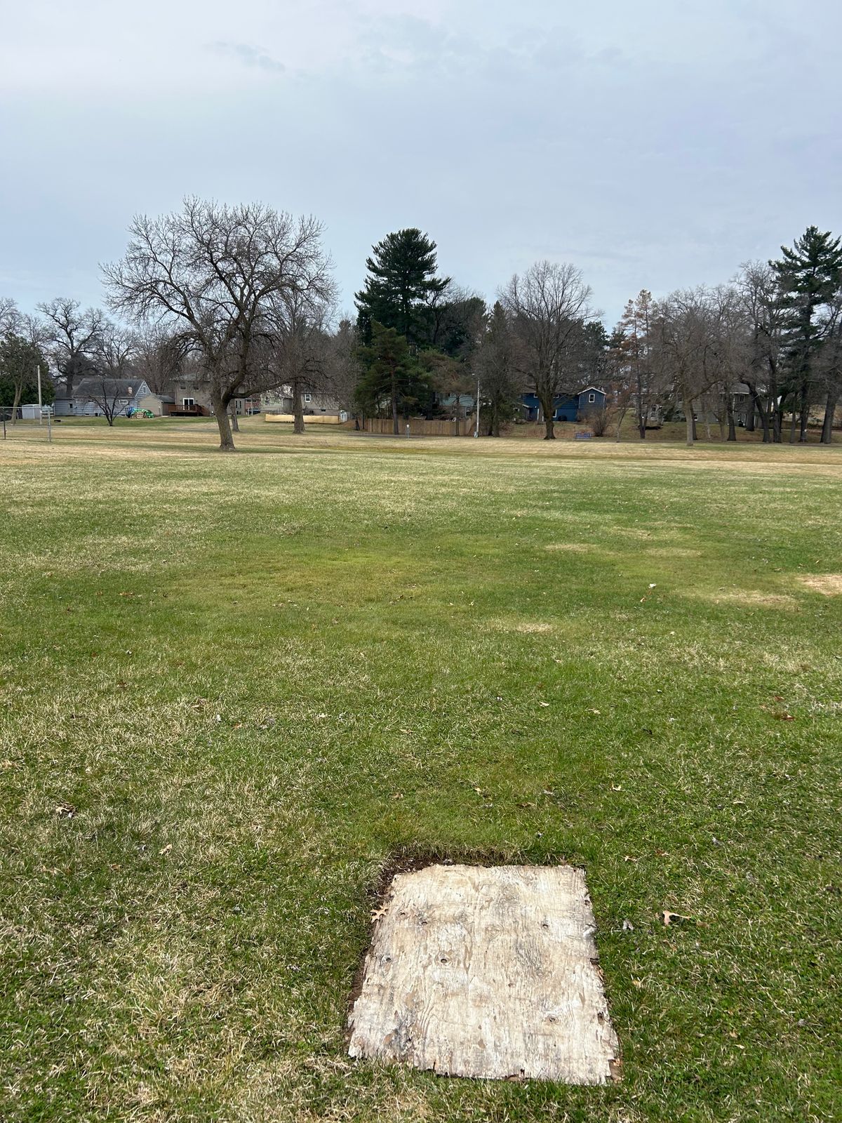 Hole 6 tee area, literally a wooden plank