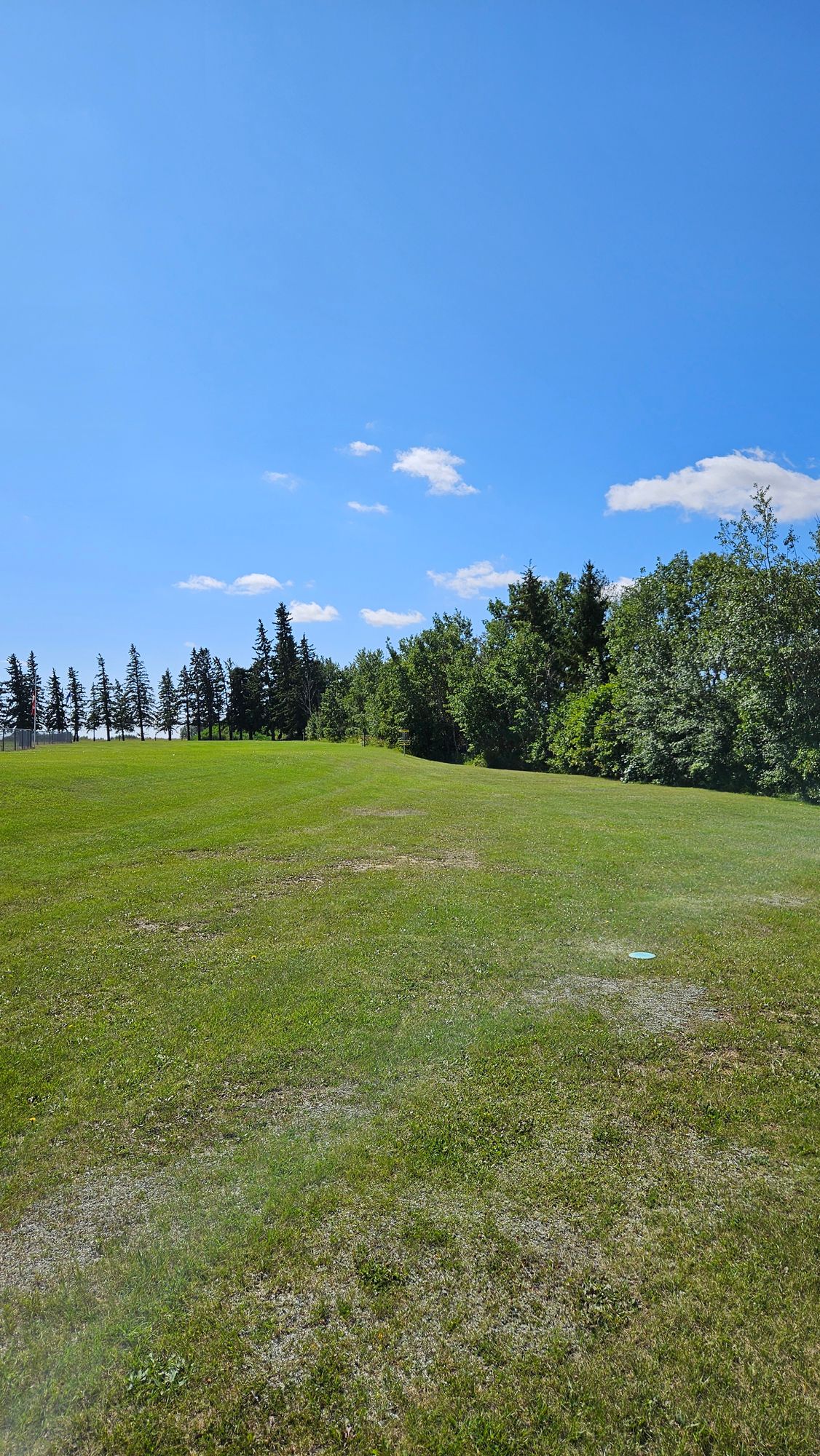 Hole 3 Fairway to Basket