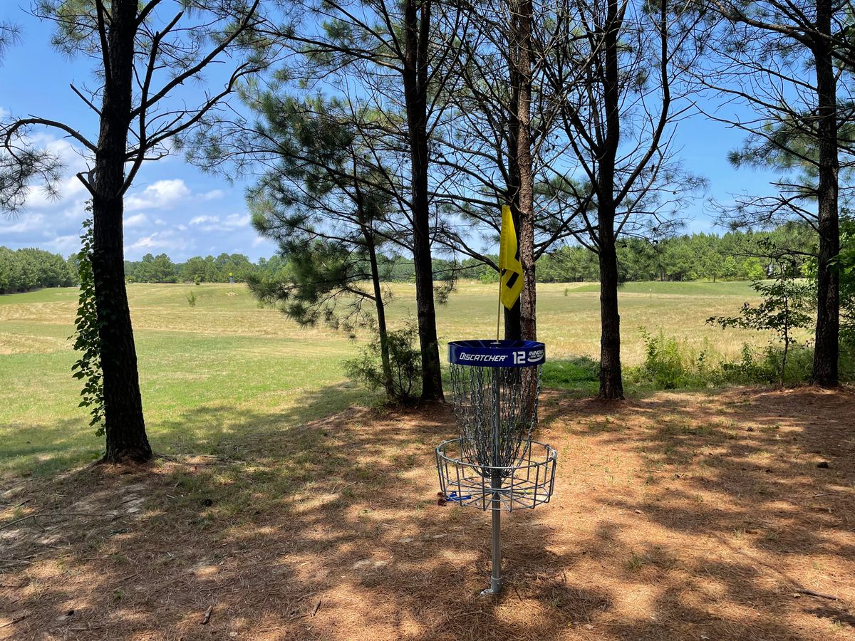 Basket 12 looking back at the fairway