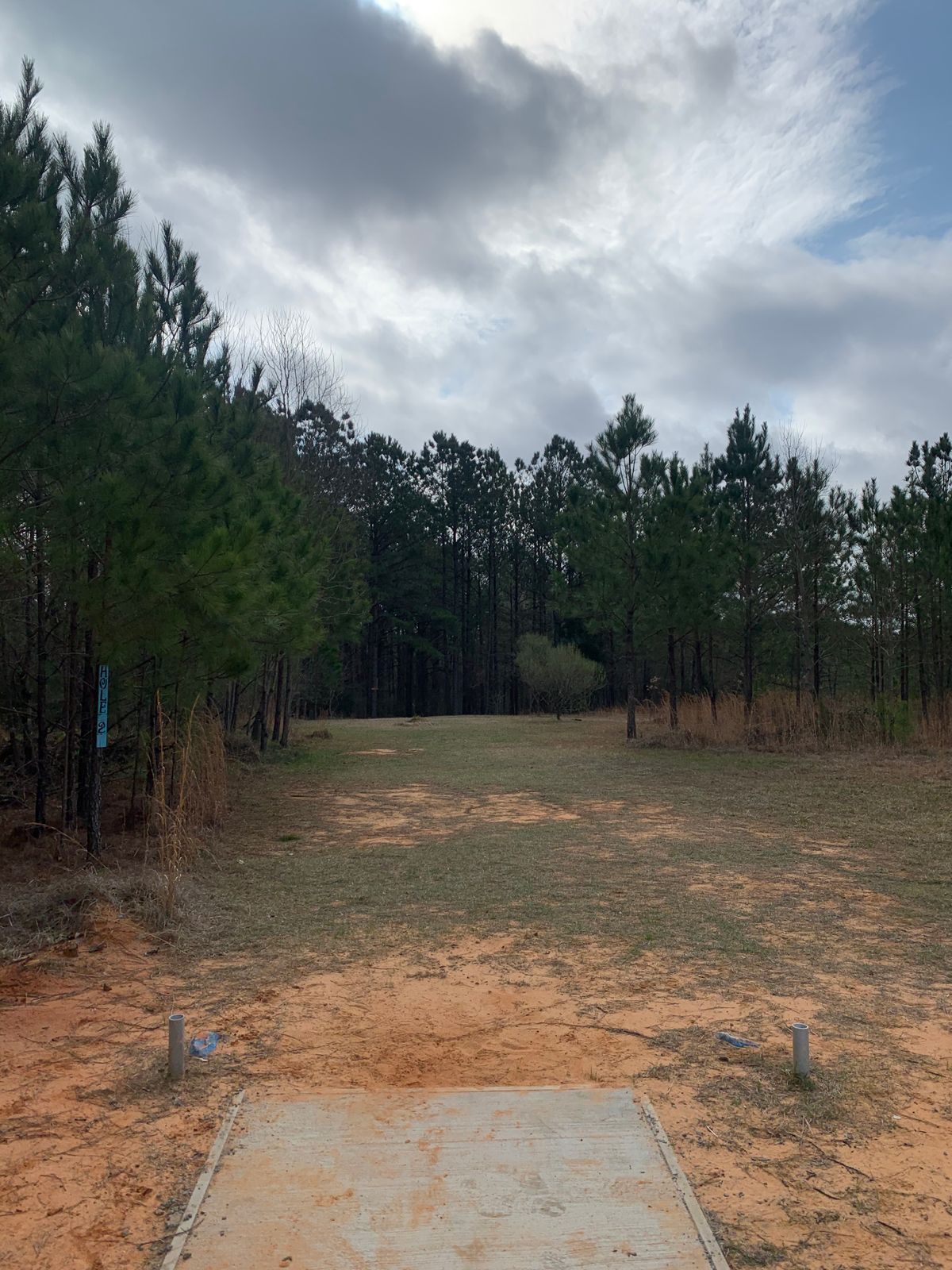 Hole 2 tee pad