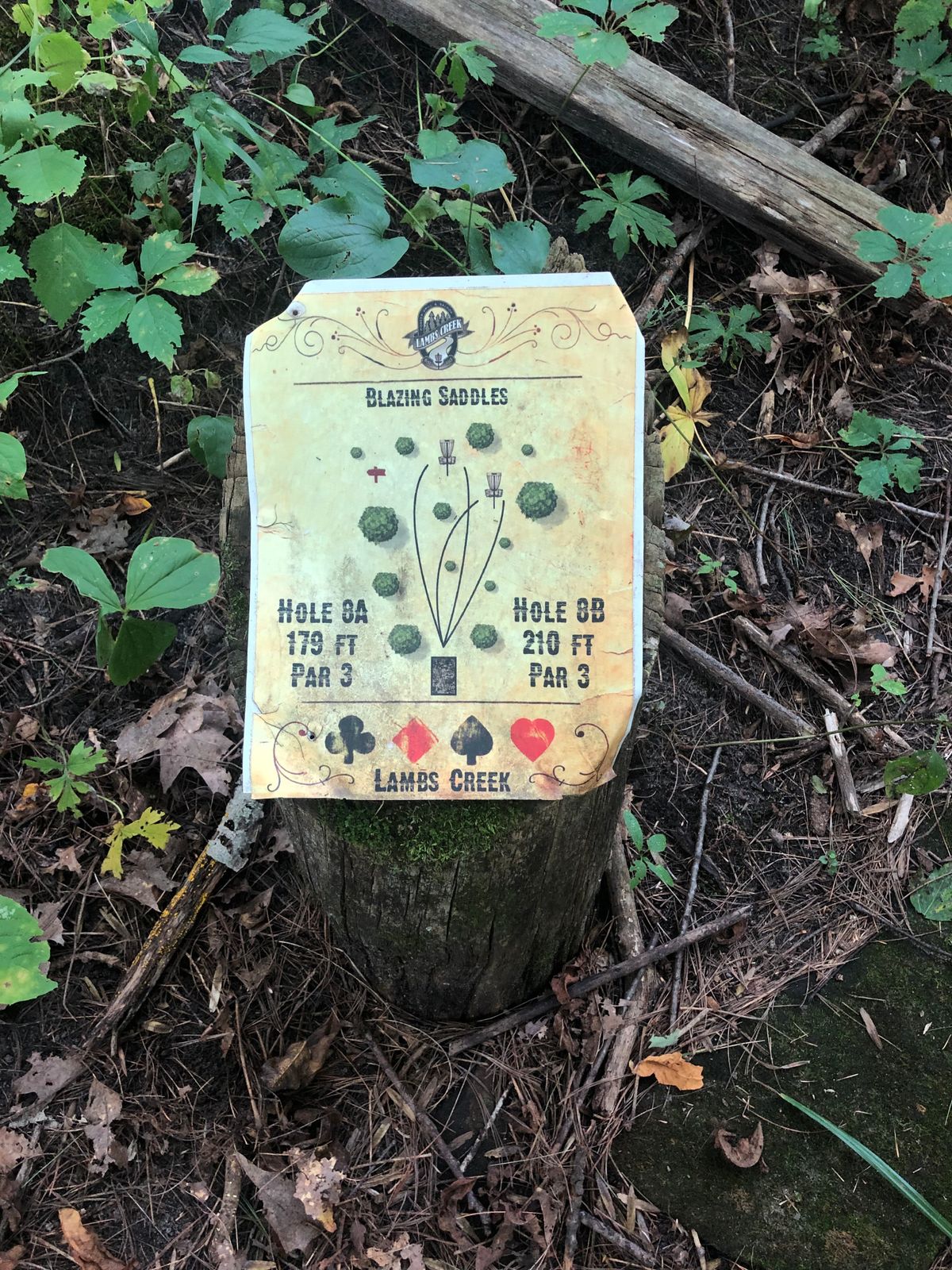 Hole 8 Sign