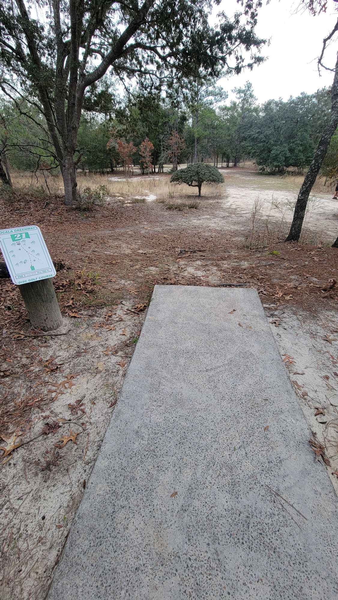 #21 Long Tee