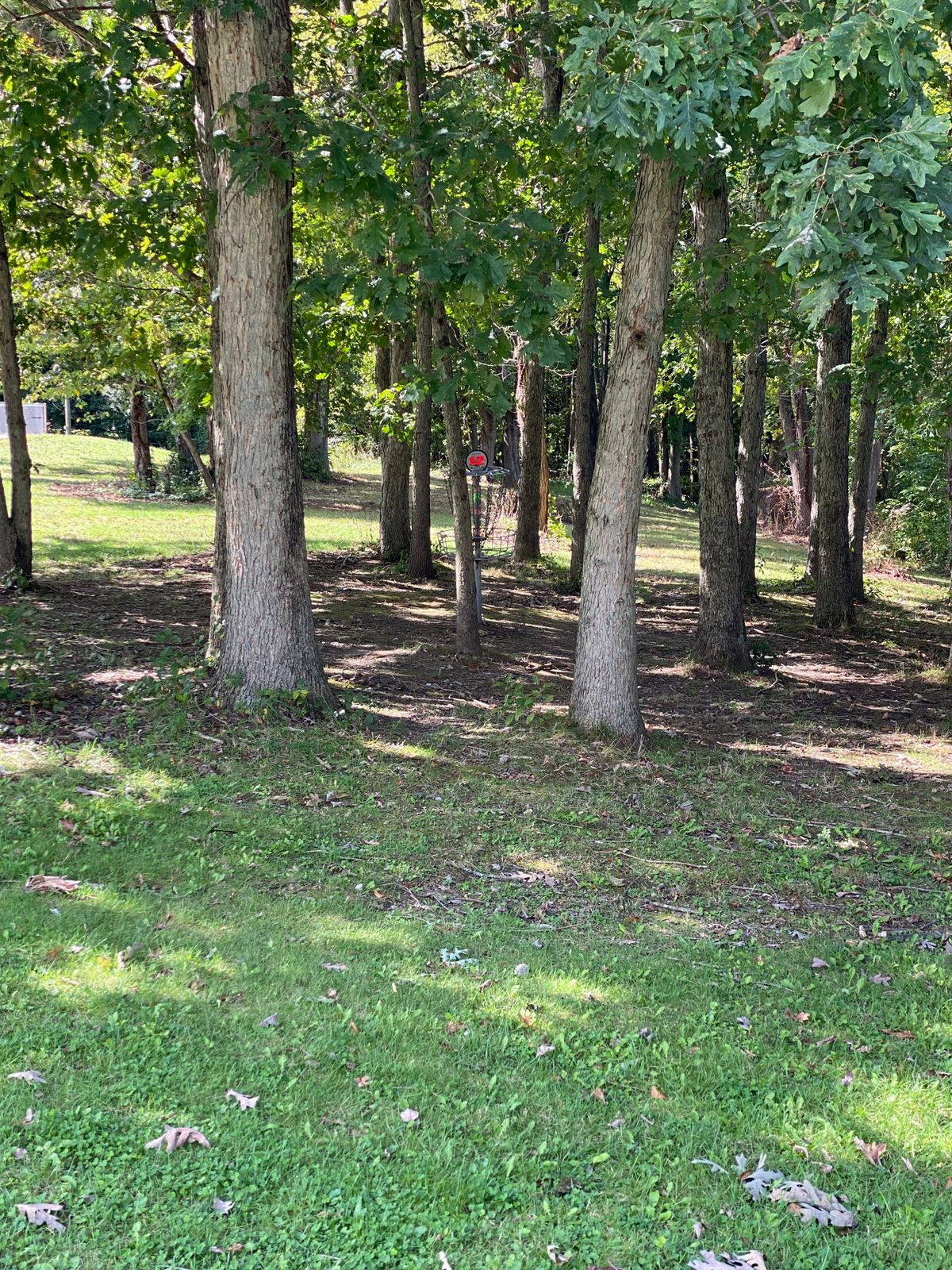 Hole 12