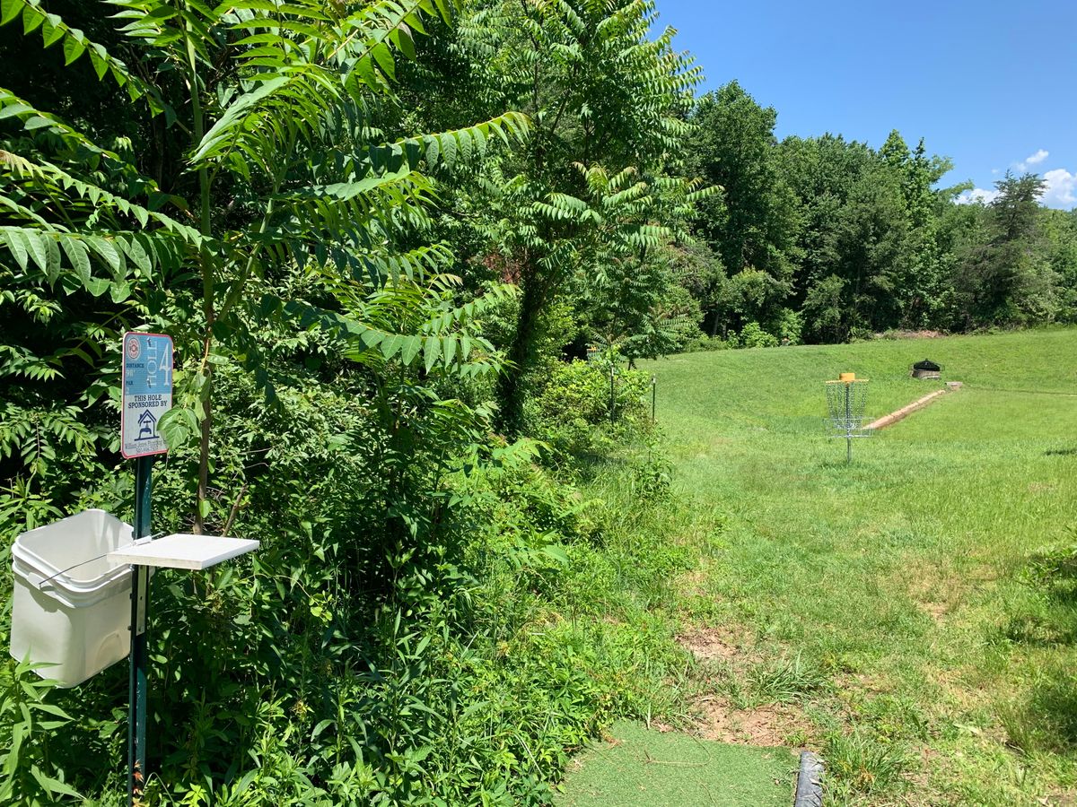 Hole 4 around to the left basket of three is in the picture