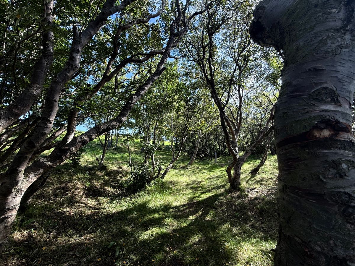 Hole 3–6 look more like this. Fun! 🤩