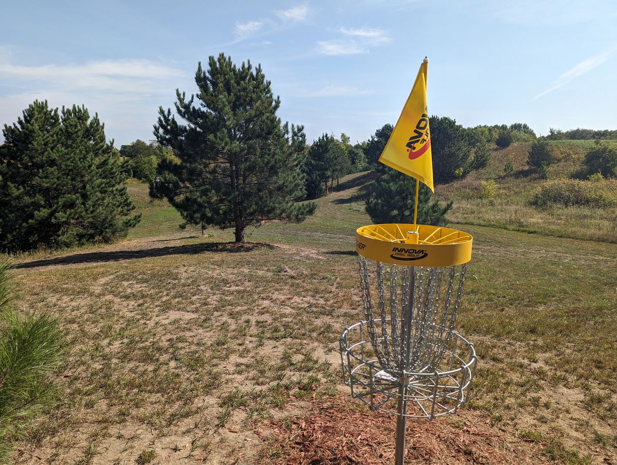 Long Basket looking back at fairway