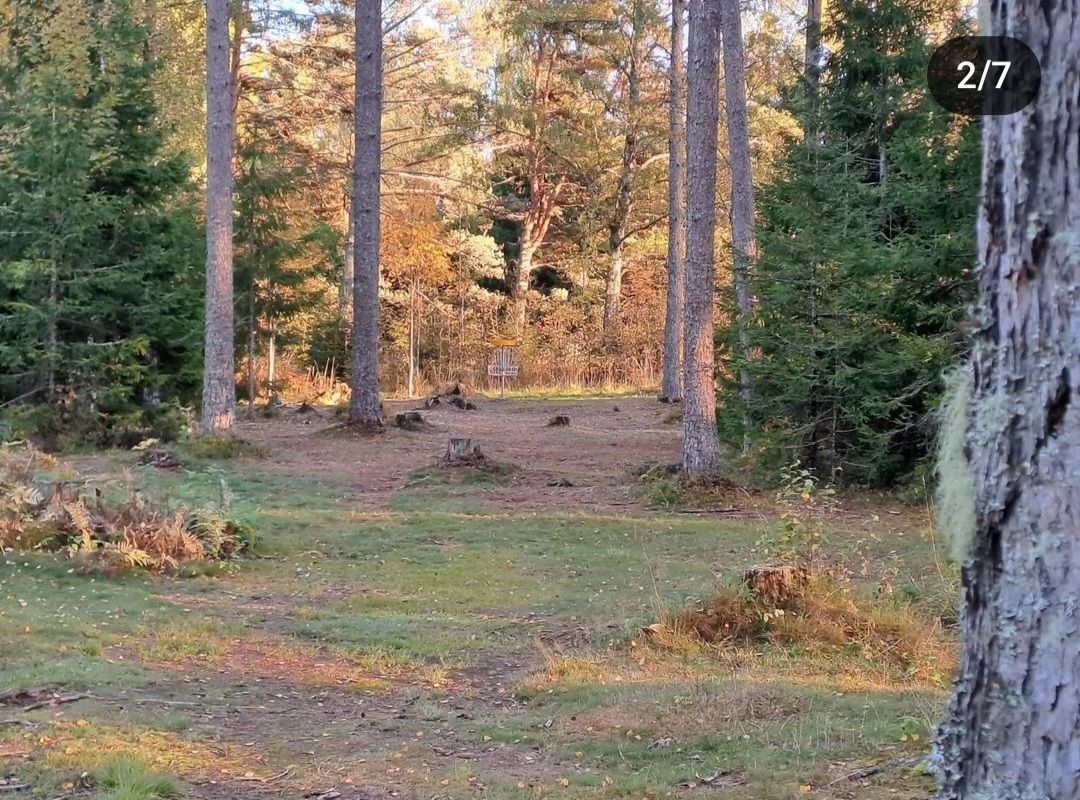 Hole 2 from fairway.