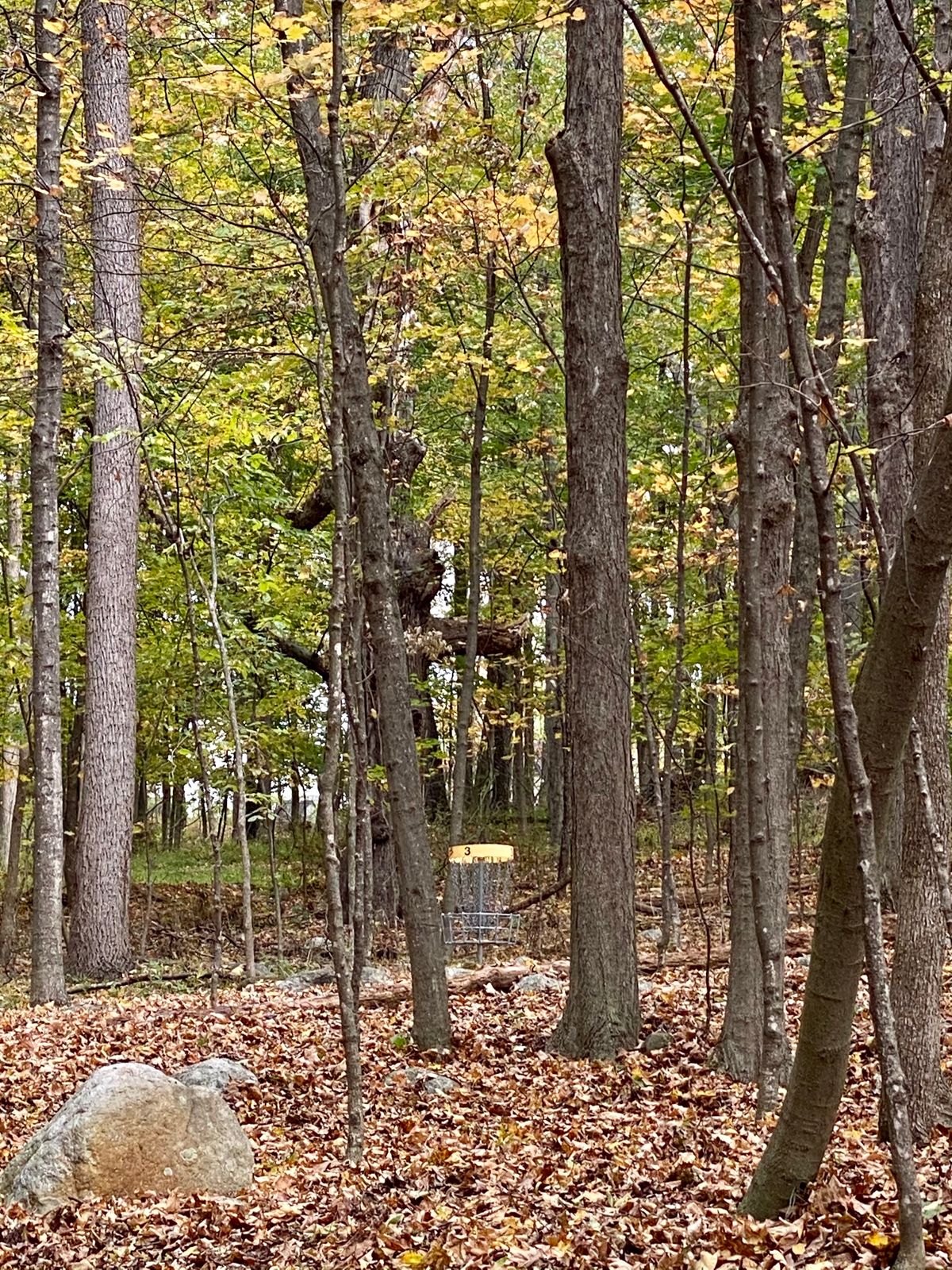 There it is. Right there. For par.