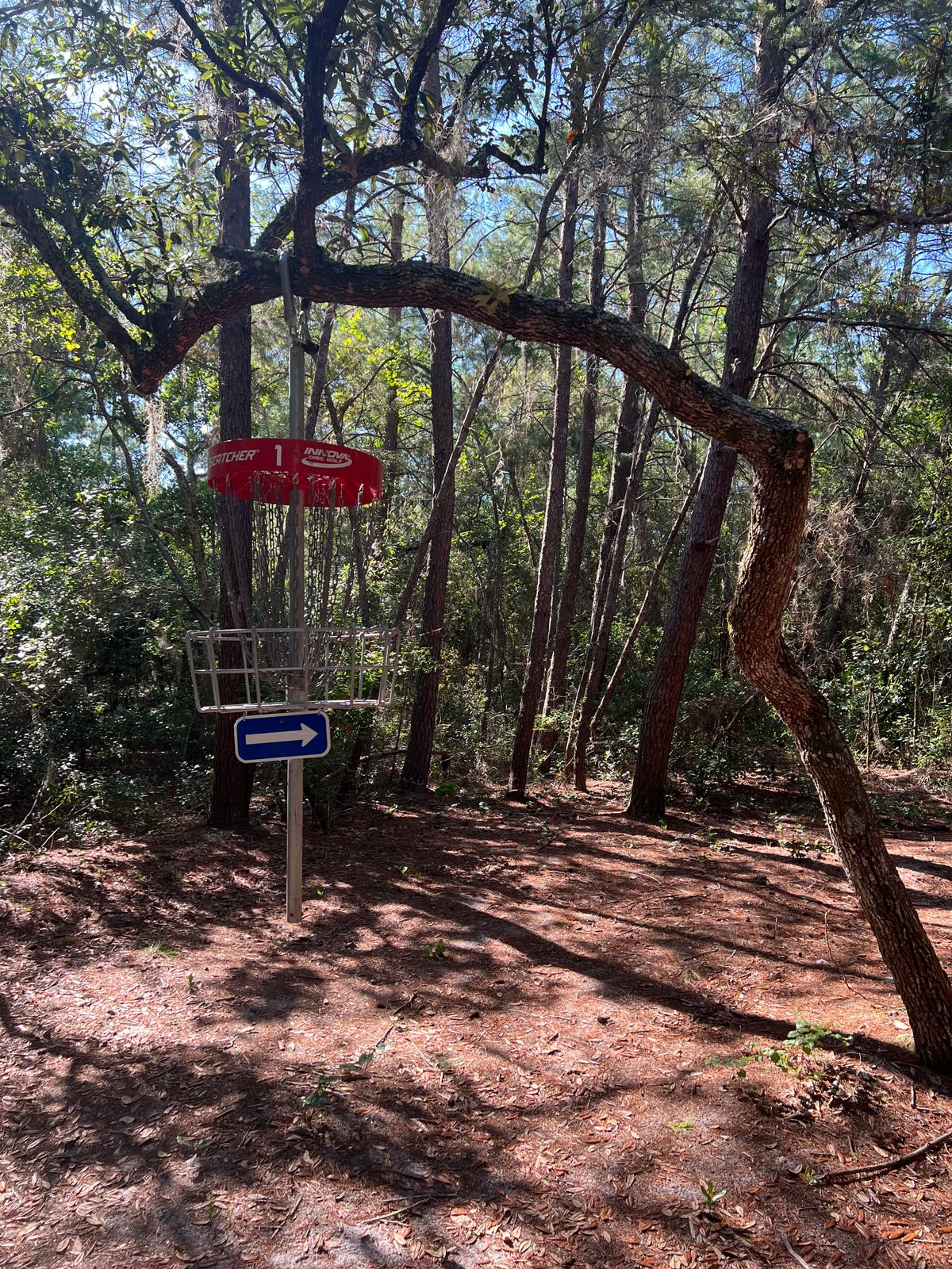 Hole 1 basket