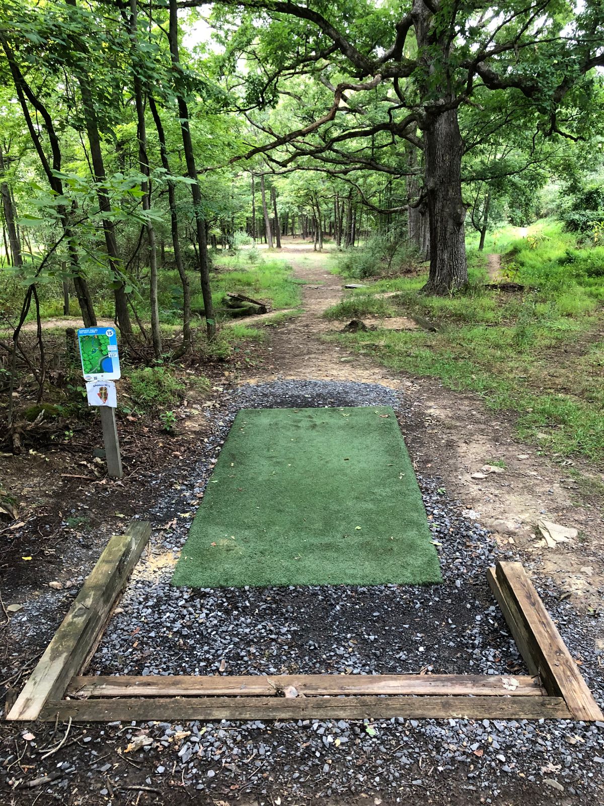 Tee area on 15 improvements this summer