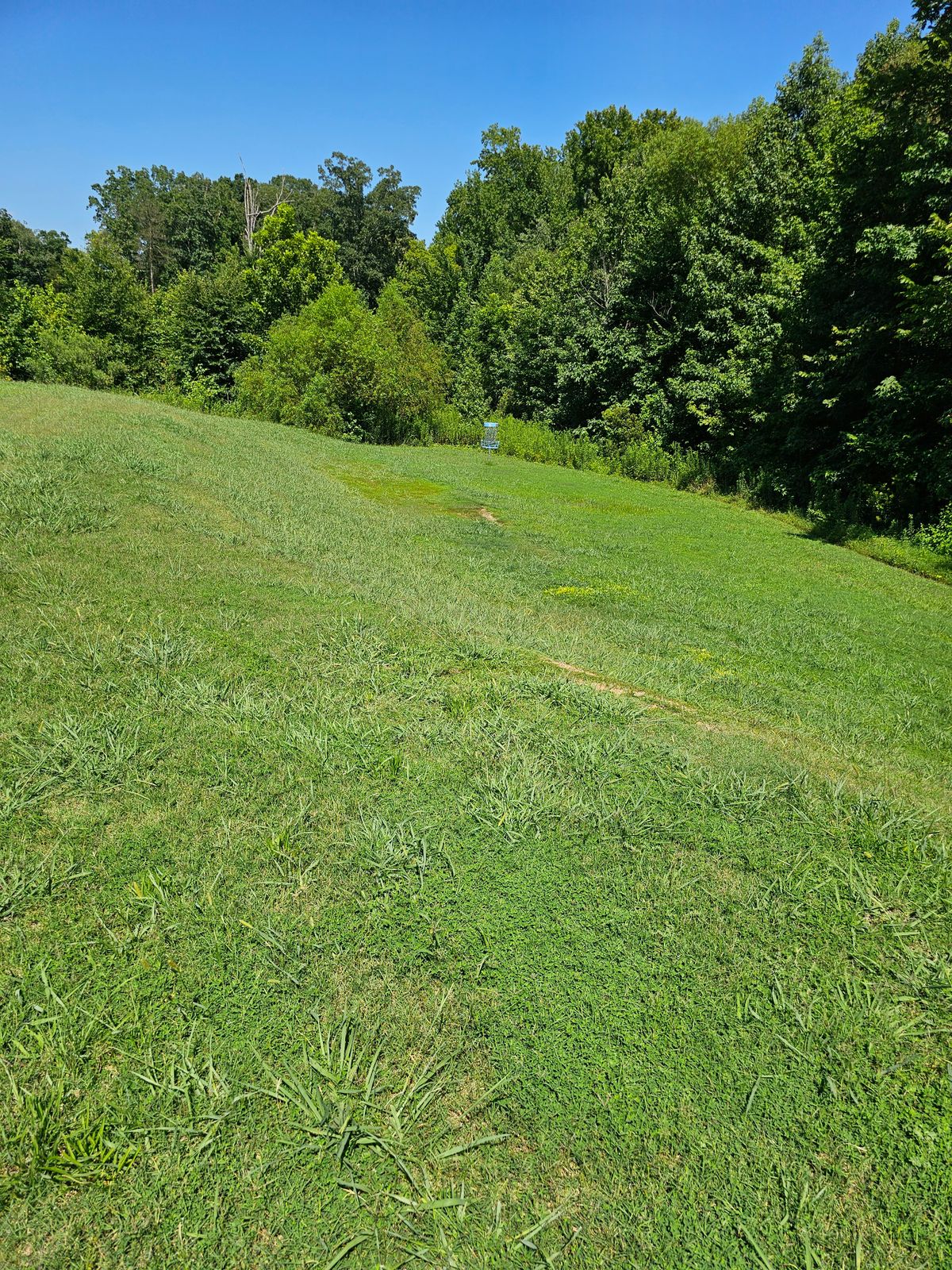 Hole 6's fairway