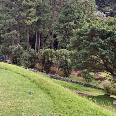 Hole 8