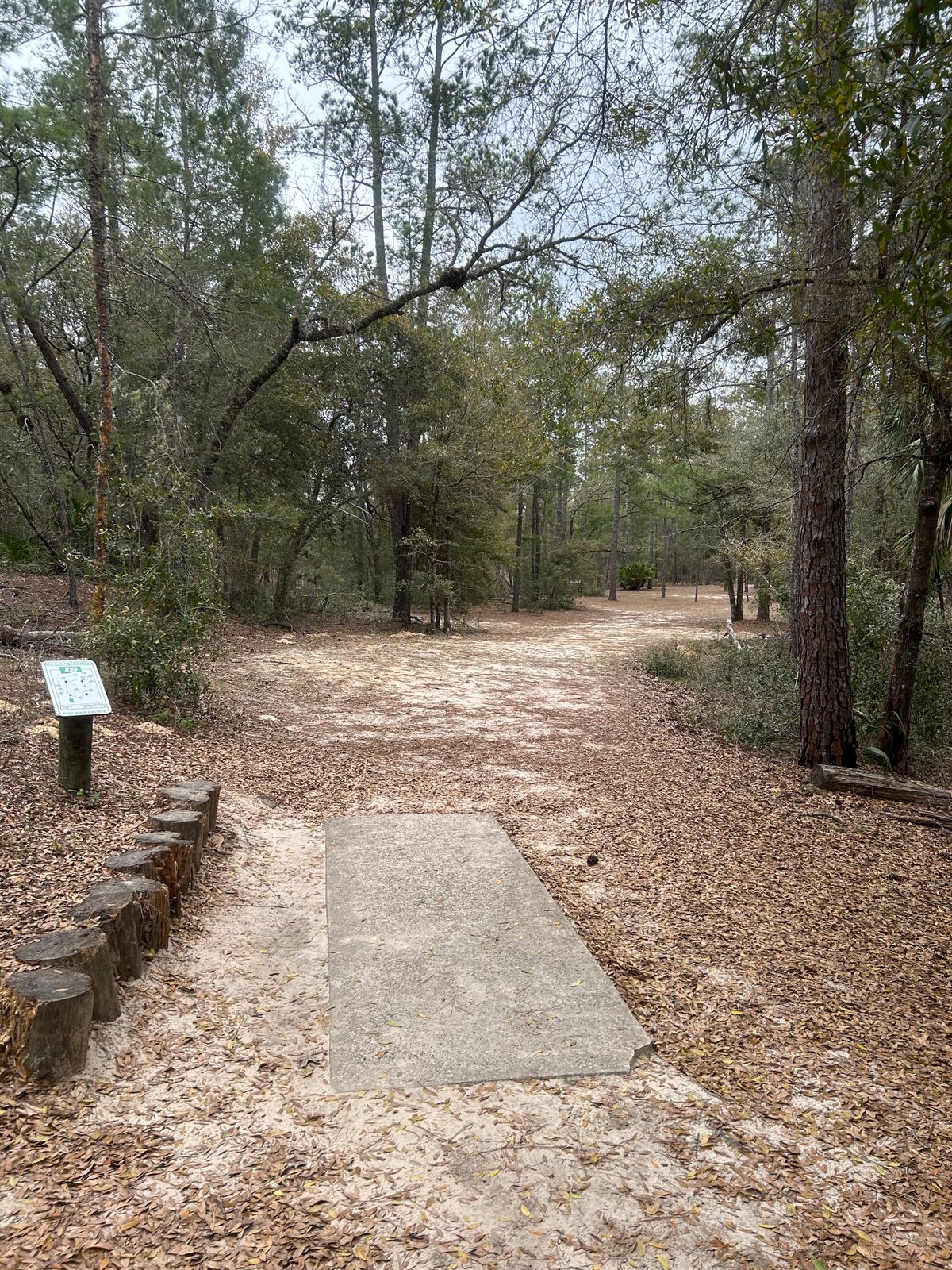 #19 Tee (only pad)