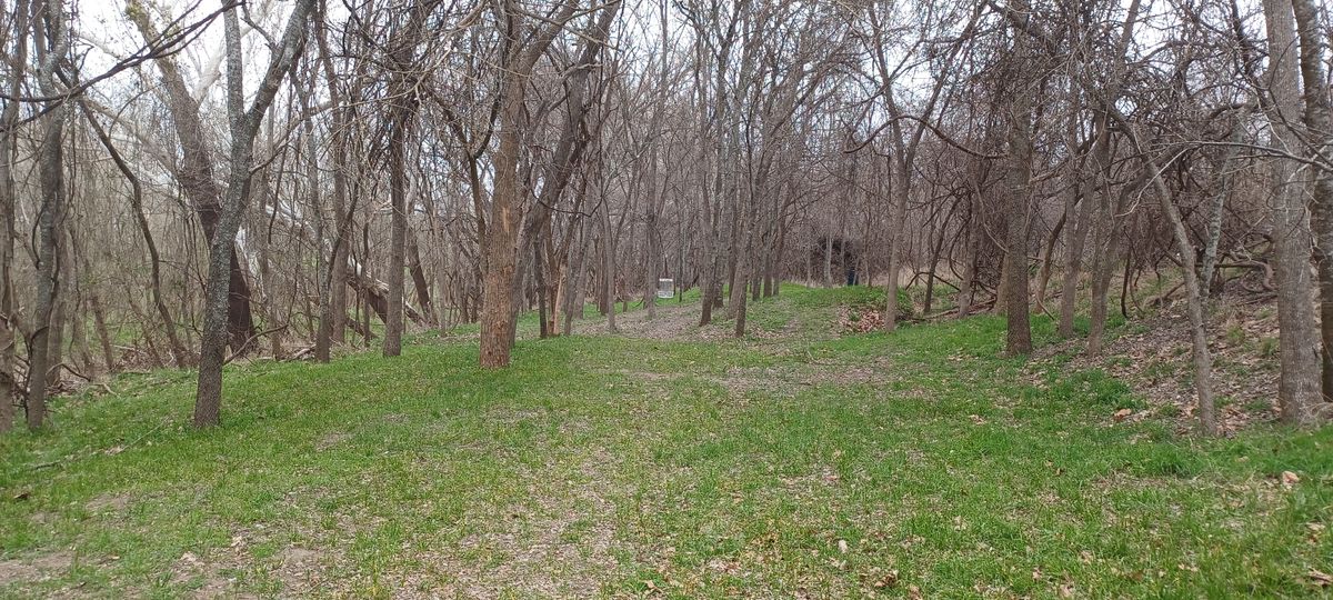 Hole 11
