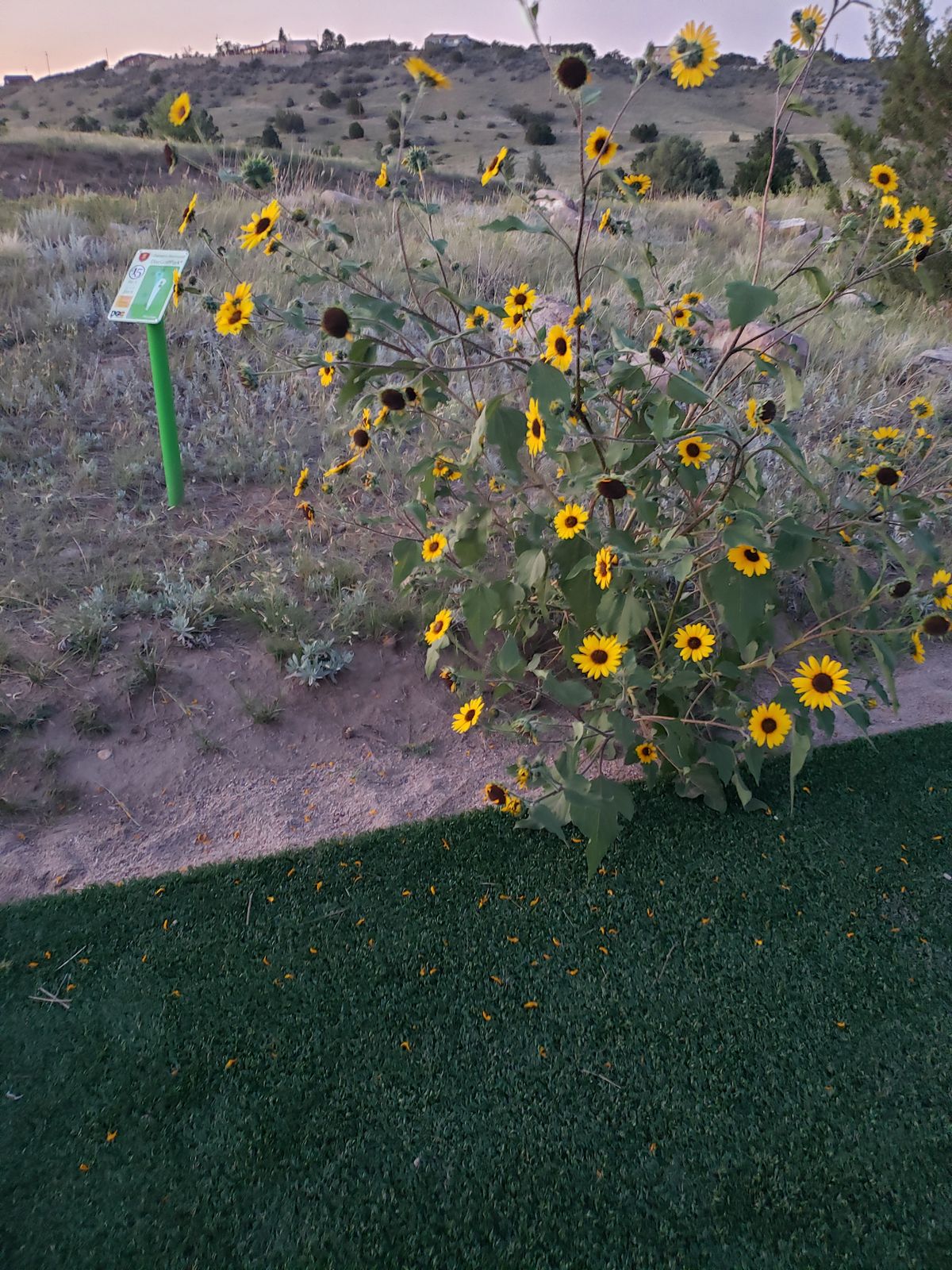 14 through 18 are in the fields,  and comparatively flat