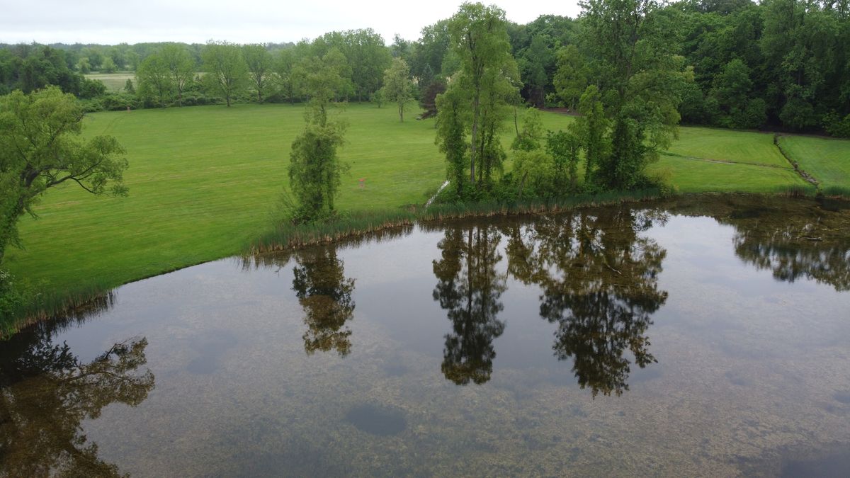 Overhead: 9 basket and pond.