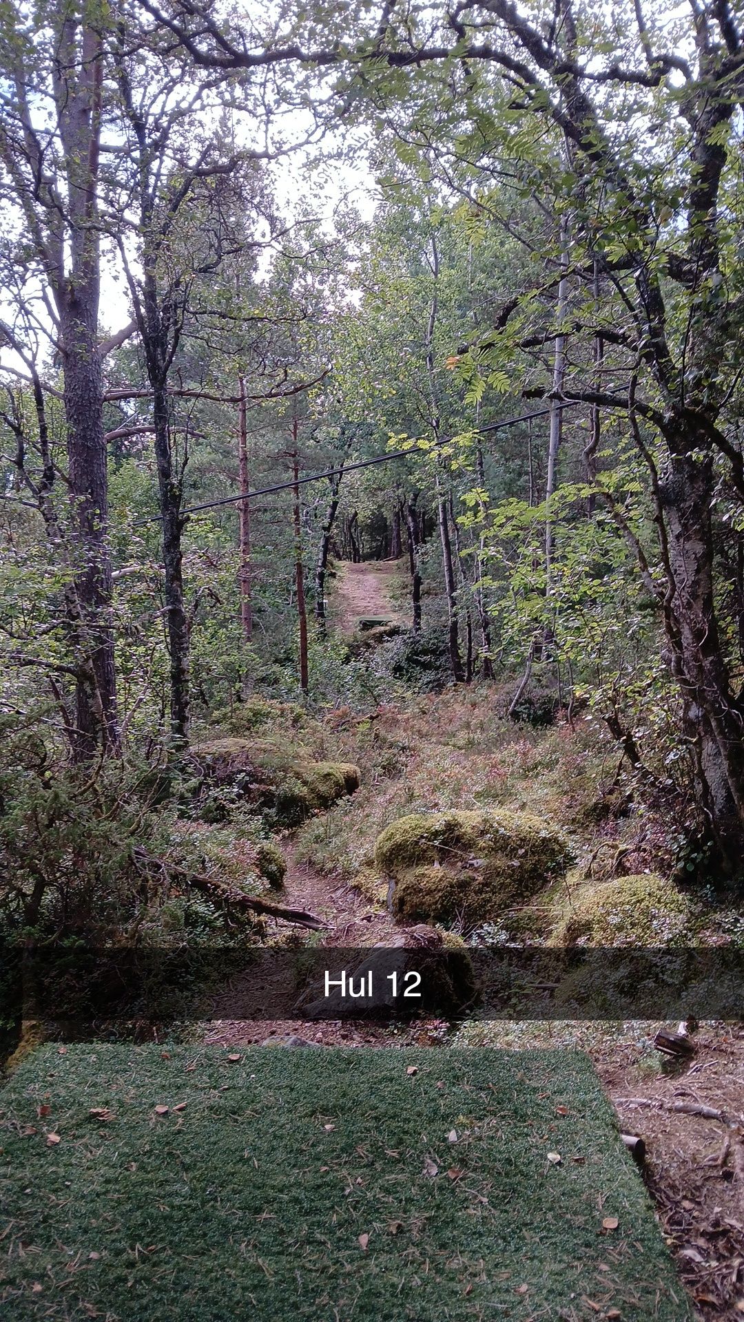 Blå