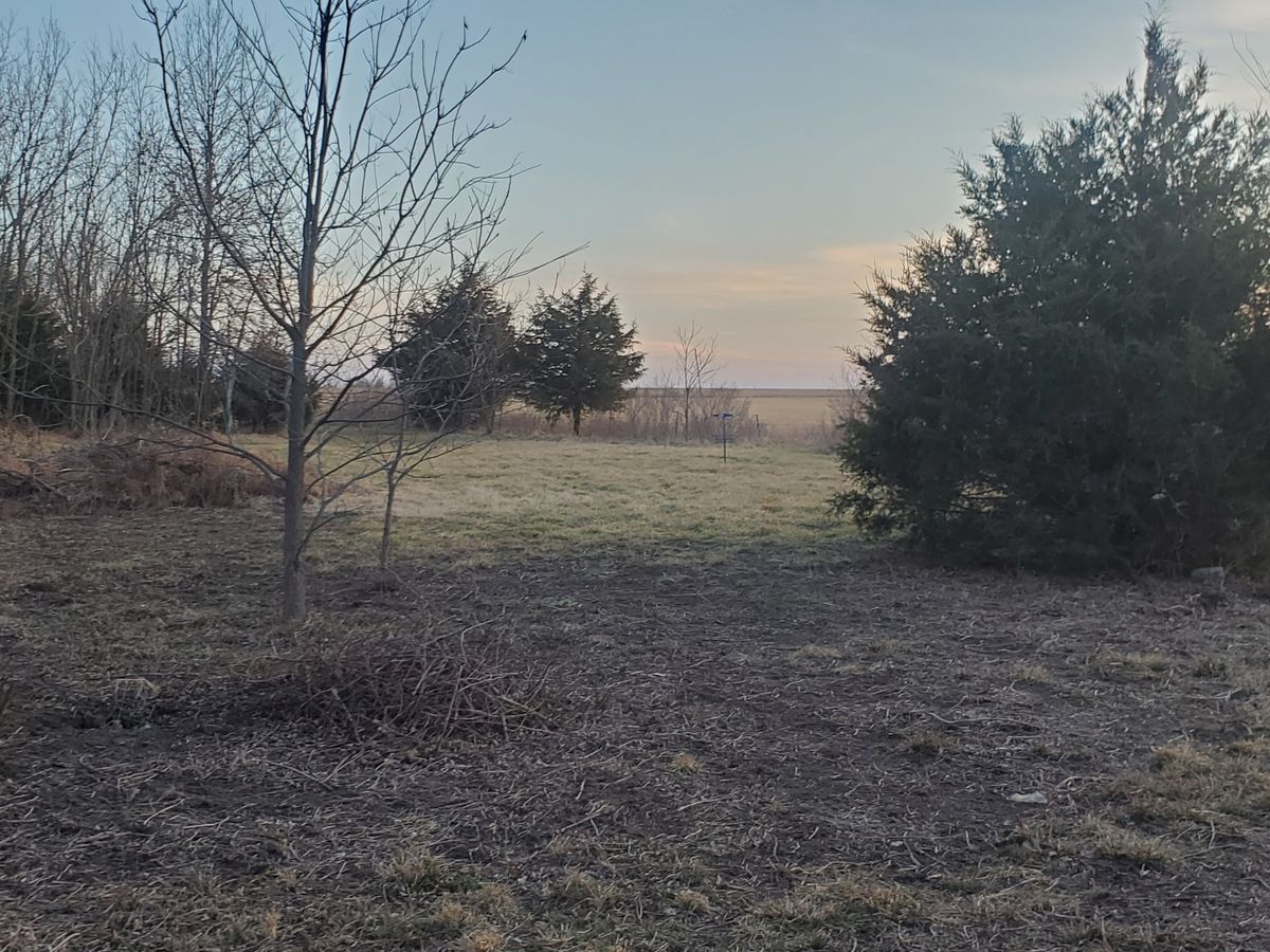 Hole 6 landing zone looking at the basket