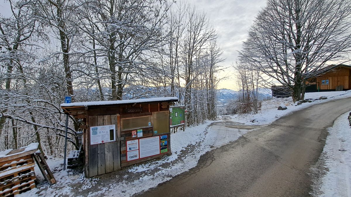 Will the Caddyshack survive the winter?