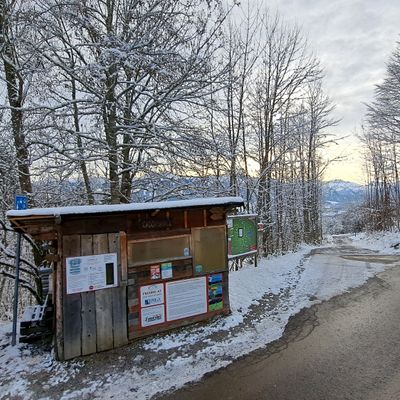 Will the Caddyshack survive the winter?