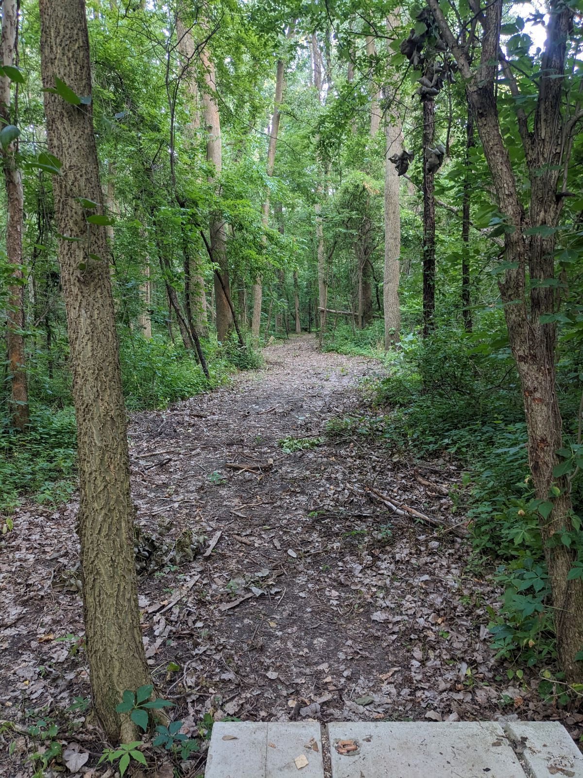 Hole 11 Short
