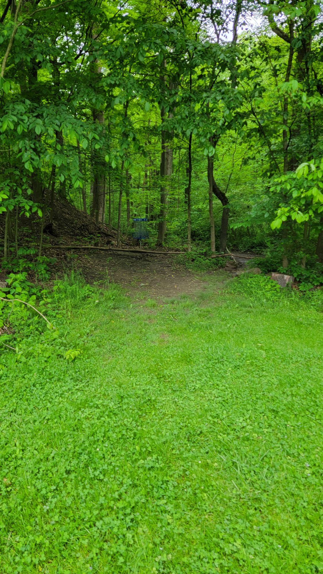 If your drive lands here on 6, easy par
