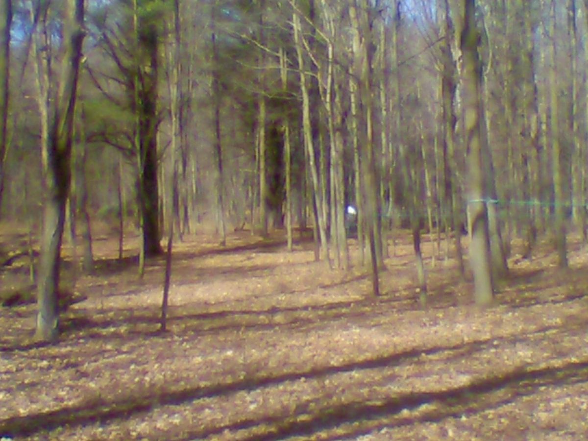 Hole 3