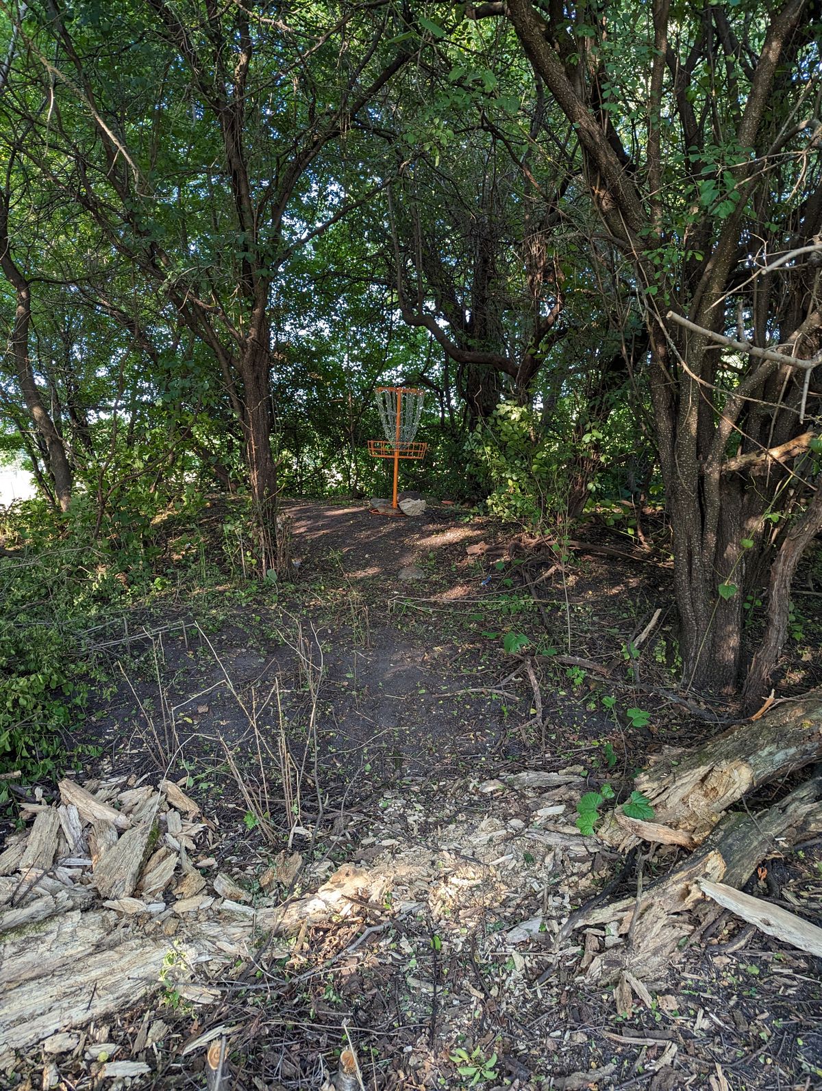 Hole 9 Basket